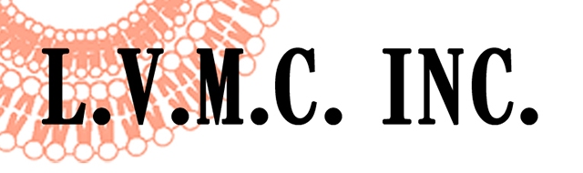 L.V.M.C. Inc